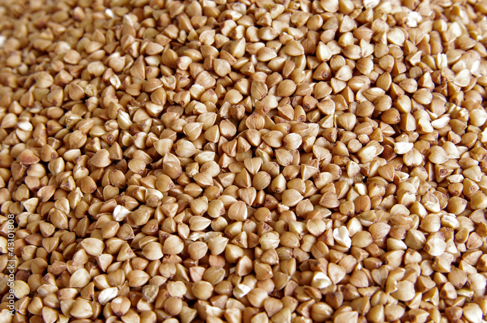 Buckwheat texture Buckwheat texture