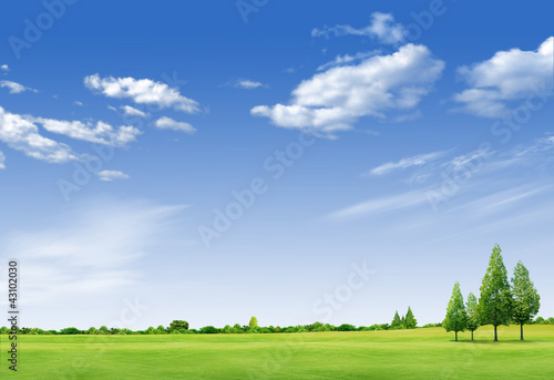 Beautiful landscape with tree   grass green field forrest  and b