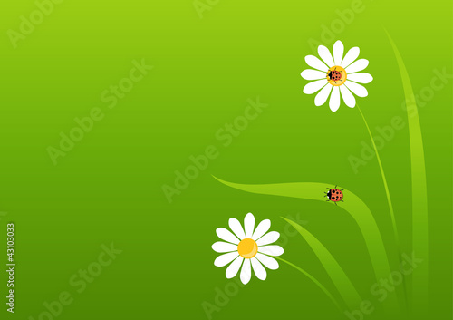background with a ladybug