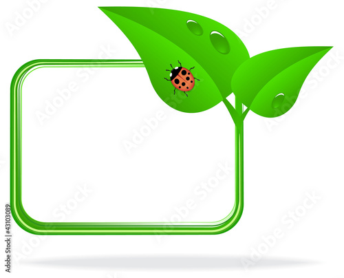 ladybug on green leaf
