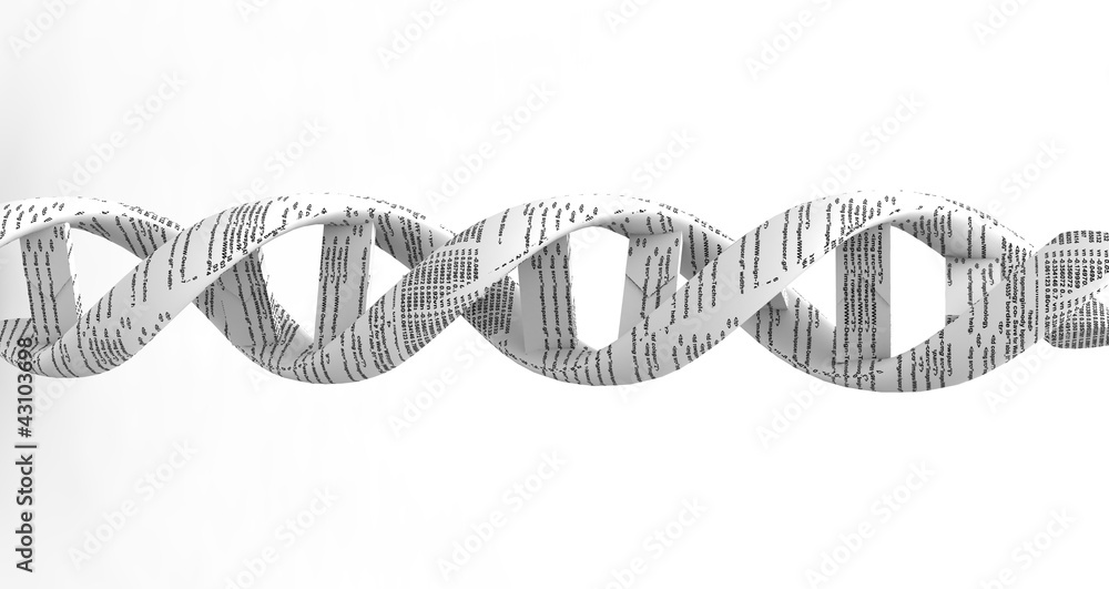 3d dna spiral with code