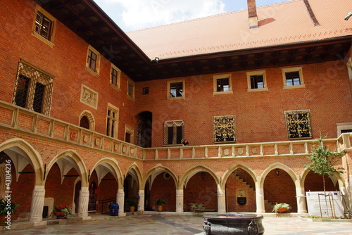 Jagiellonian University, Collegium Maius, Krakow, Poland photo