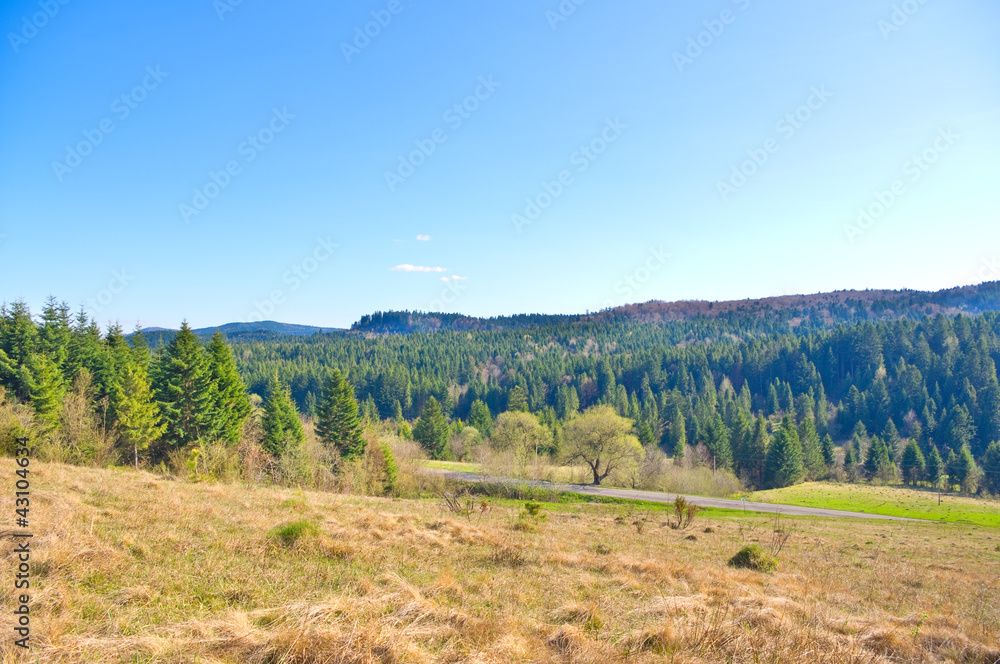 Naklejka premium Beautiful view of a mountains.