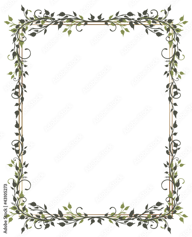 Rahmen, Blätter, Laub, Ranke, flora, filigran Stock-Vektorgrafik | Adobe  Stock