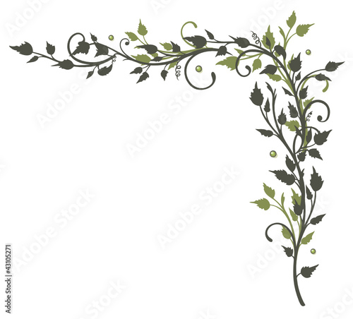 Blätter, Laub, Ranke, flora, filigran, grün, border, frame