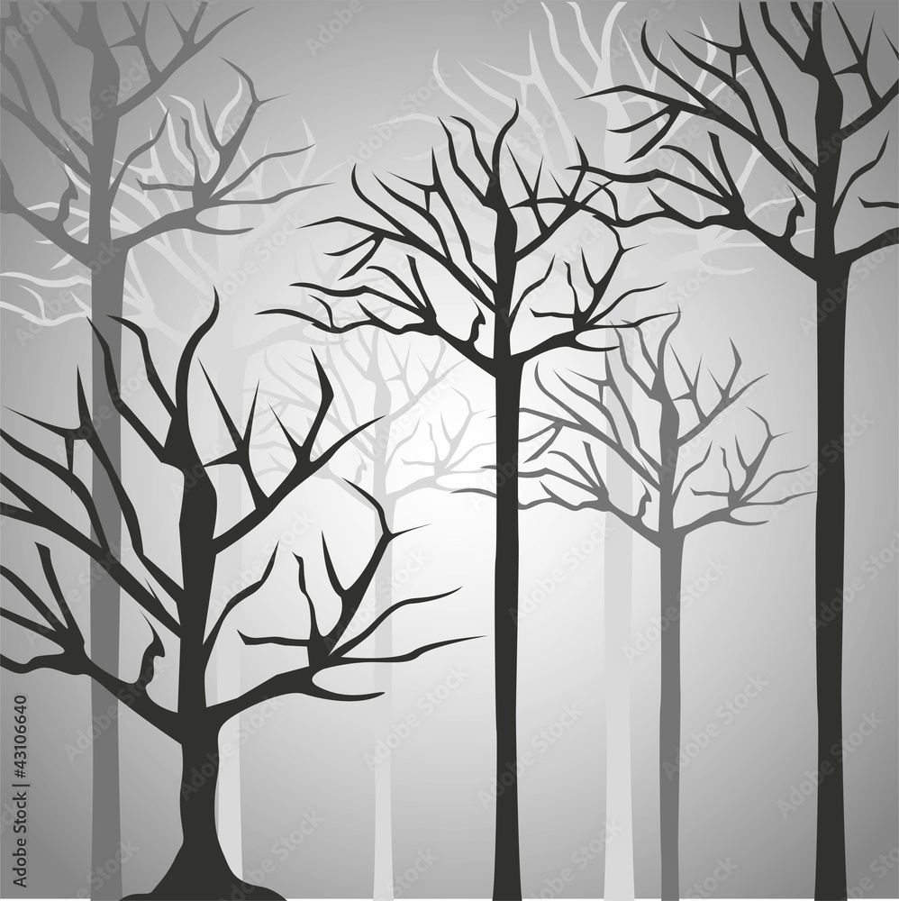 Naklejka premium Silhouettes of tree trunk