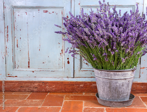 Canvas Print Bouquet of lavender in a rustic setting