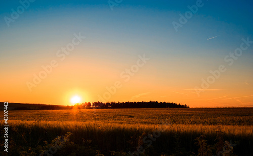 Fototapeta Naklejka Na Ścianę i Meble -  Beautiful sunset landscape