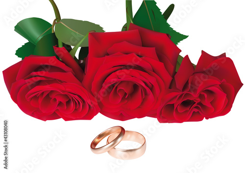 Illustration von Rosen und Ringe
