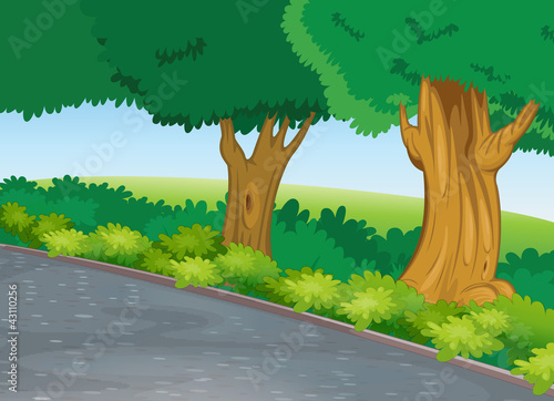 tree beside road
