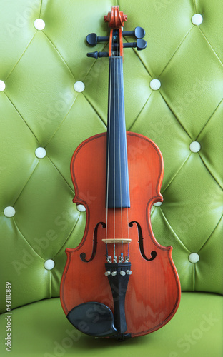 violin instrument  photo