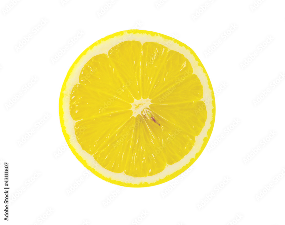 slice of lemon isolated on white background slice of lemon isolated on white background