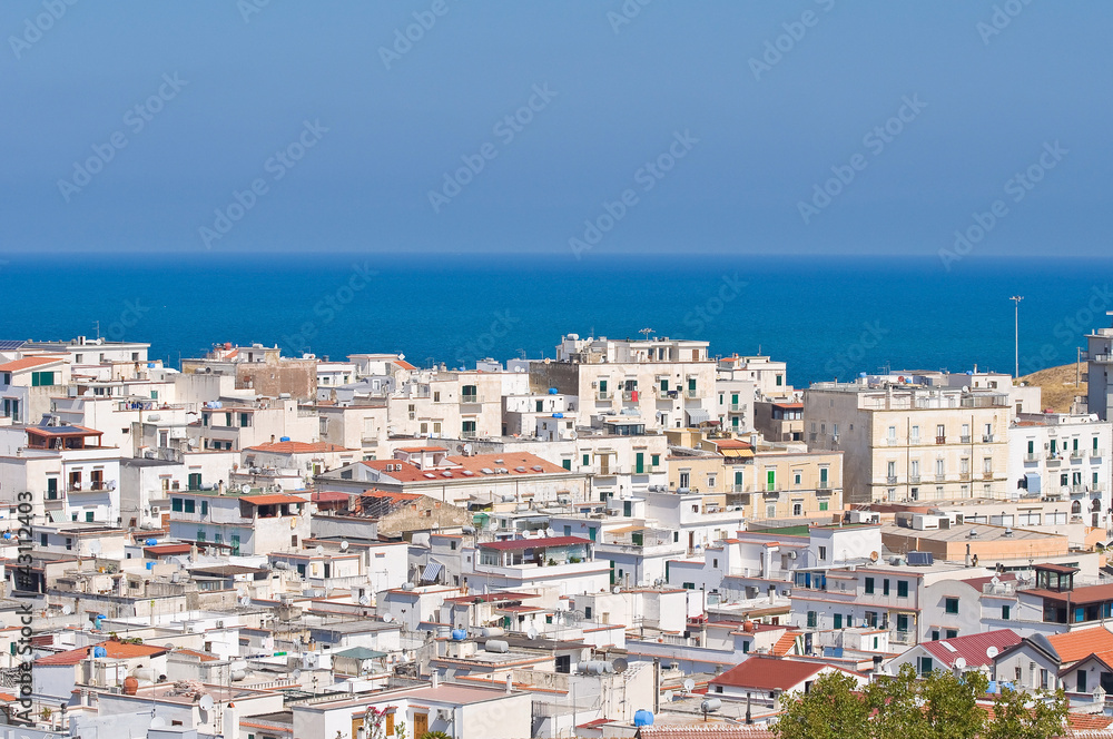Panoramic view of Vieste. Puglia. Italy.