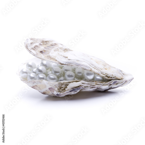 Perlen in einer Auster