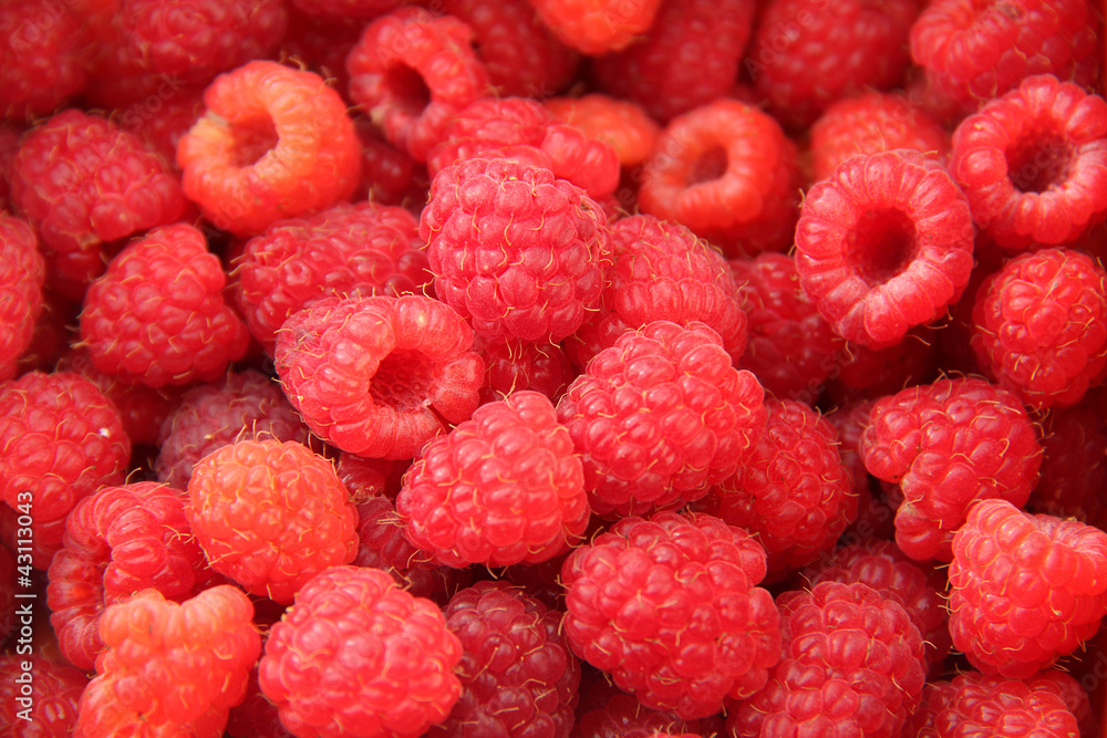 Framboises Framboises