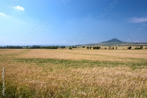 Landscape with Castle