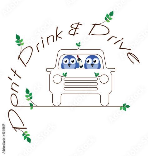 Drink and Drive twig text message