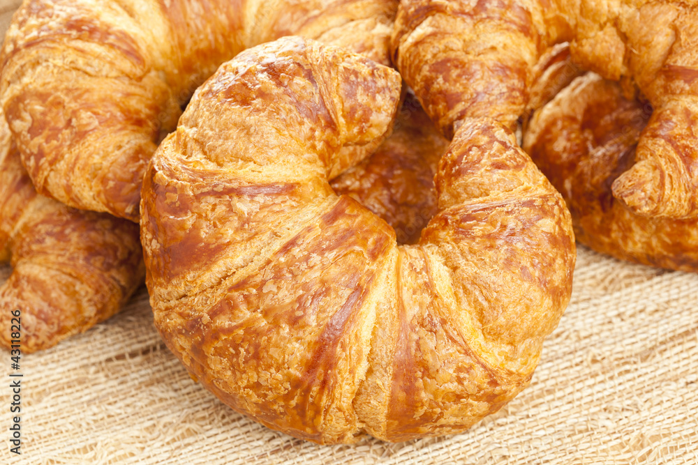 Freshly Baked Croissant Freshly Baked Croissant