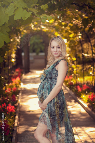 A beautiful pregnant girl in the park at dusk, evening