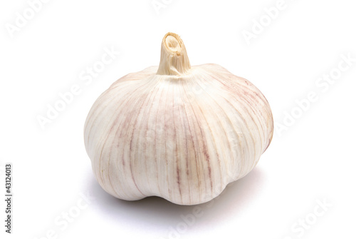 garlic on white with clipping path