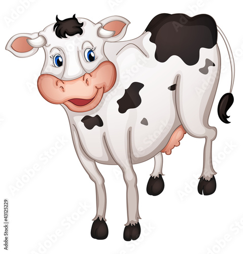 Cow