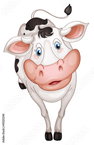 Cow