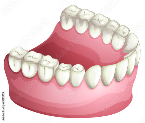 Denture