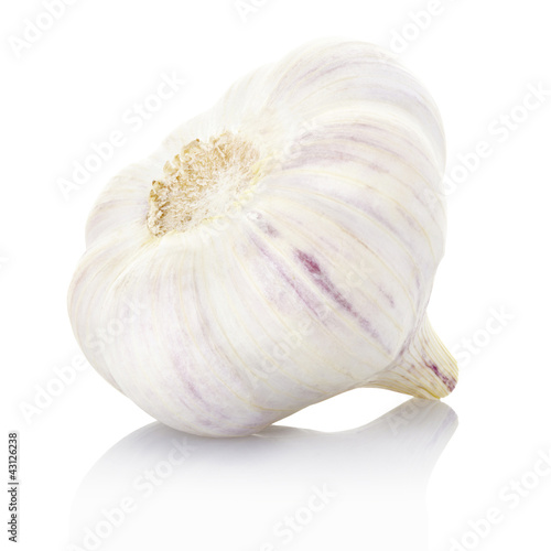 Fresh garlic on white, clipping path included