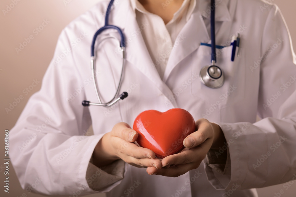 Female doctor with stethoscope holding heart Female doctor with stethoscope holding heart
