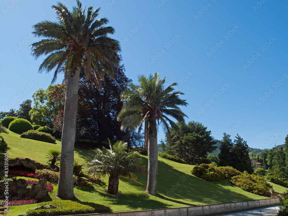 Beautiful mediterranean garden of villa Melzi, Bellagio Italy