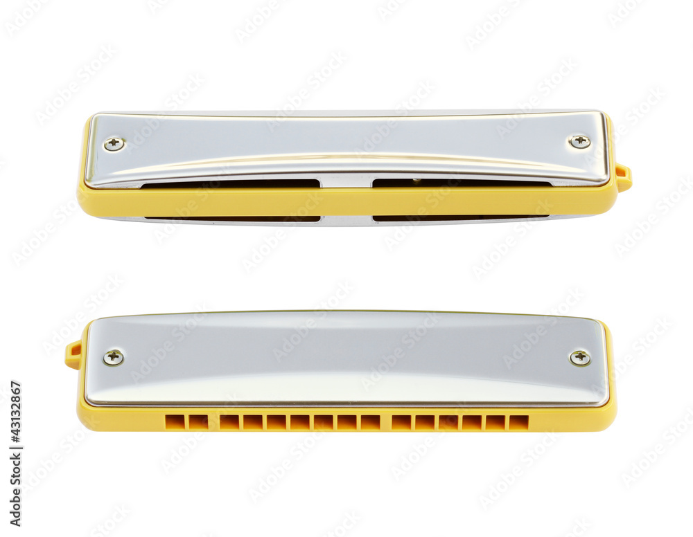 Harmonica isolated on white background Harmonica isolated on white background