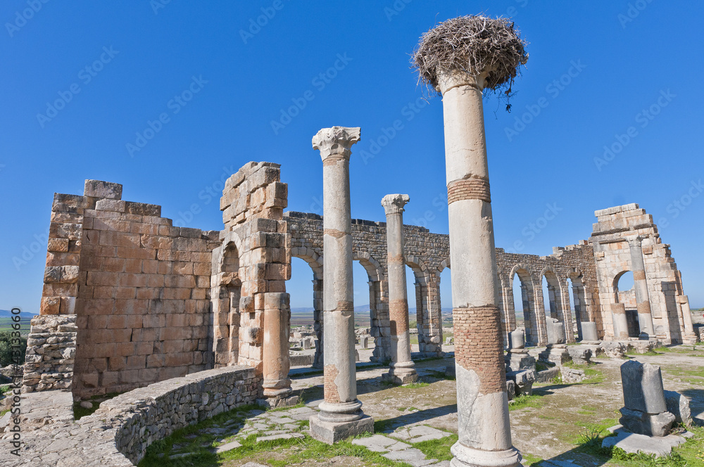 Fototapeta premium Forum at Volubilis, Morocco