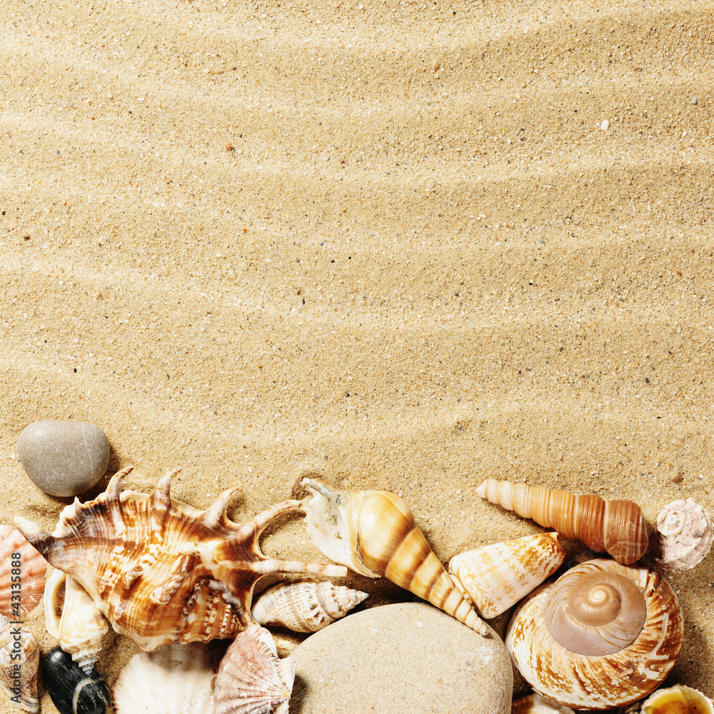Obraz premium coquillages et sable