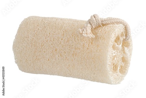 loofah sponge photo