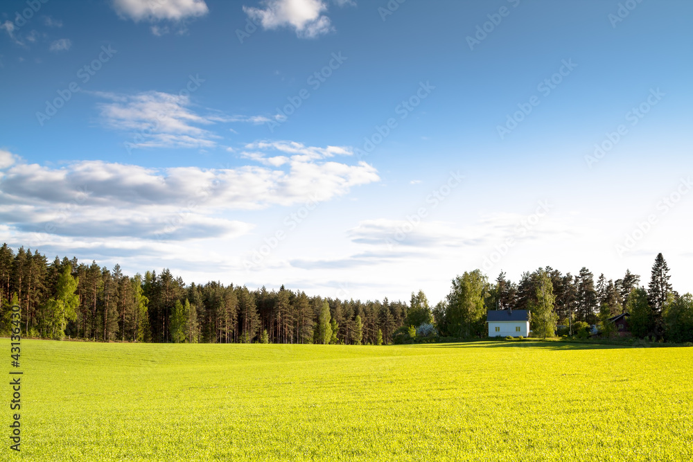 The house on a green field in a sunny day