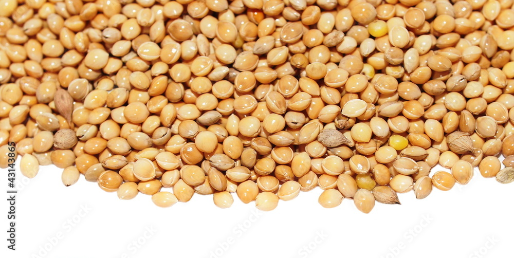 pile millet isolated on white background pile millet isolated on white background