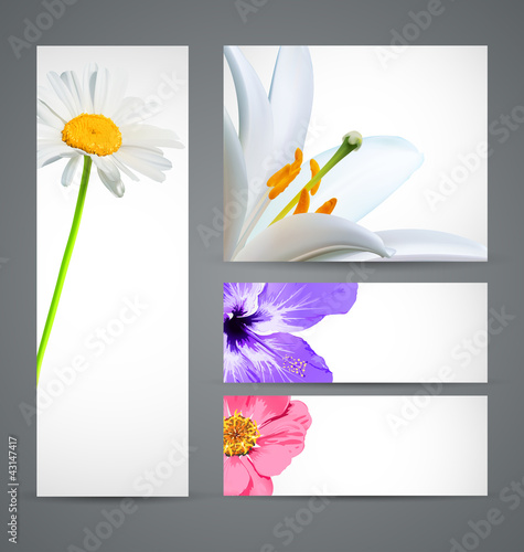 Fototapeta Naklejka Na Ścianę i Meble -  Design background of spring flowers brochure