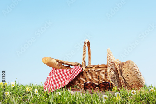Picnic on Meadow