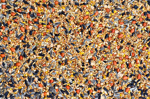 assorted seed and nuts for feeding wild birds