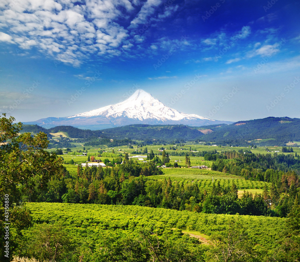 Fototapeta premium A beautiful view from panaroma view point