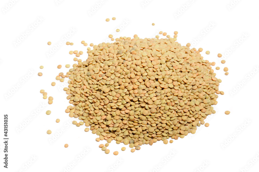 Lentils Isolated on White Background Lentils Isolated on White Background