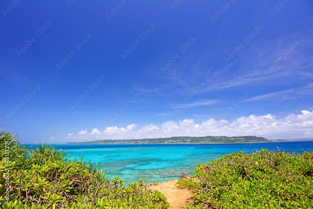 コマカ島の亜熱帯植物と紺碧の空