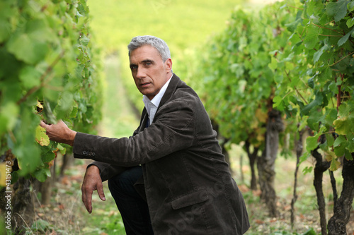 Canvas Print Man crouching down in a vineyard