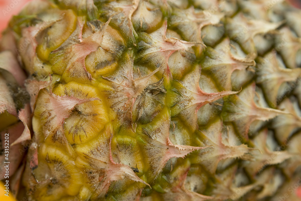 Fototapeta premium pineapple