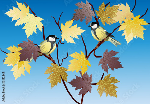 two tits on golden maple illustration