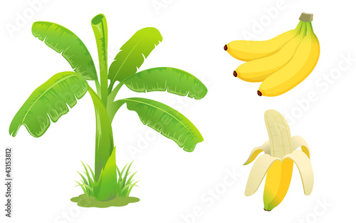 Banana set