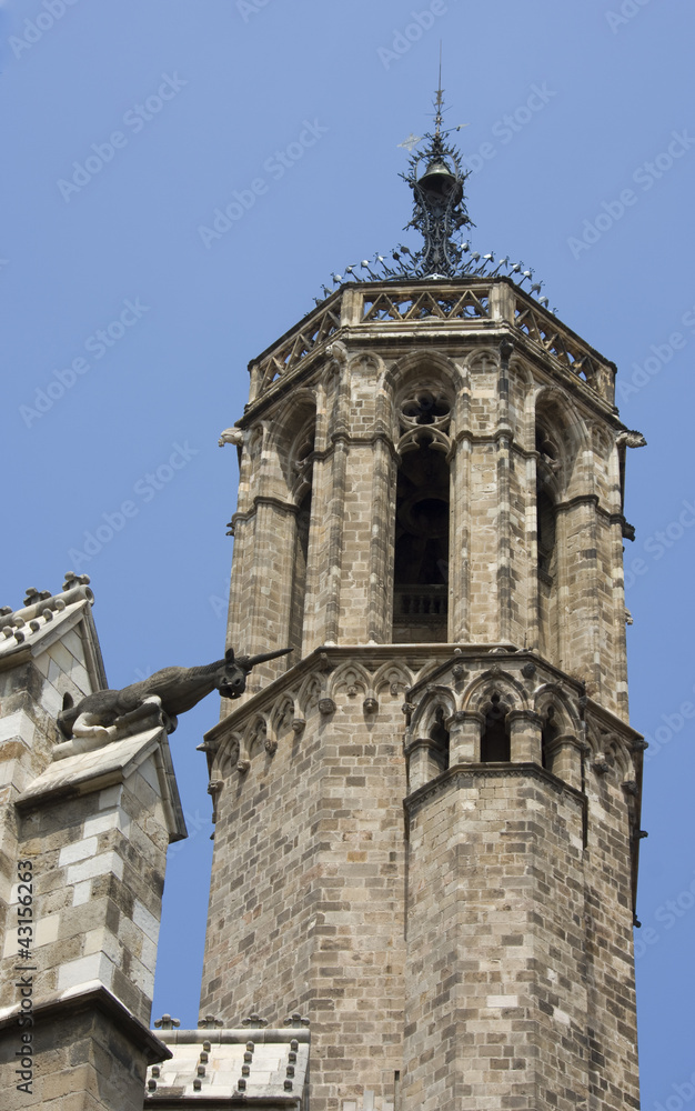Gargoyle of the cathedral of barcelona Gargoyle of the cathedral of barcelona