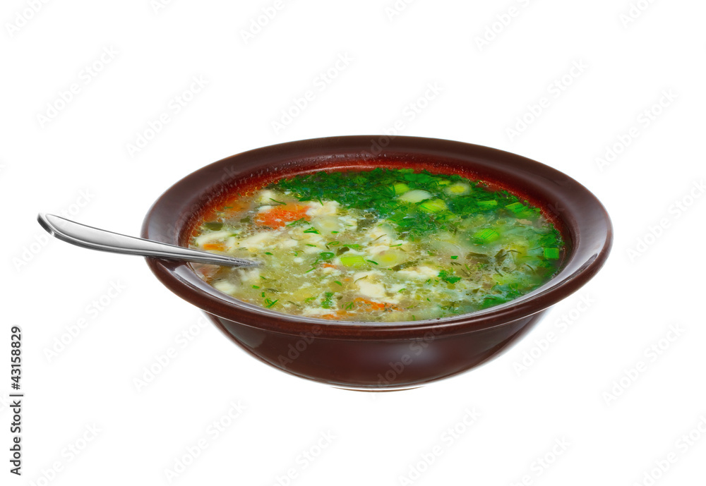 Fresh soup in a dish Fresh soup in a dish