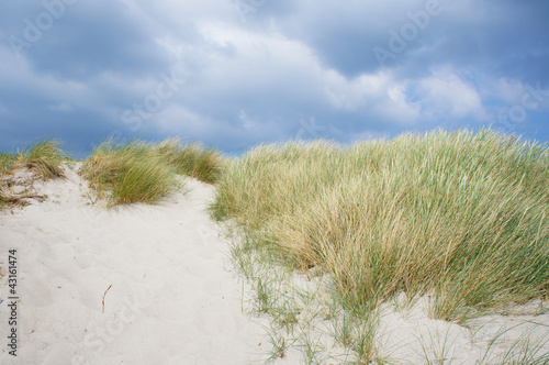 Rügen - Düne bei Thiessow