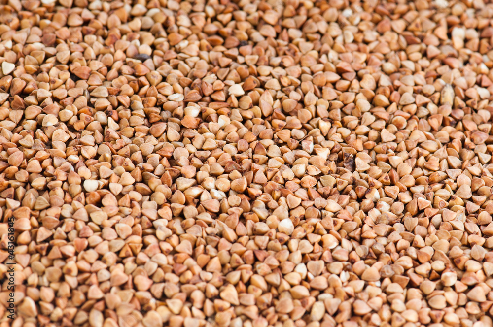 buckwheat texture buckwheat texture
